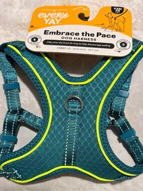 Embrace the Pace Teal & Neon Dog Harness